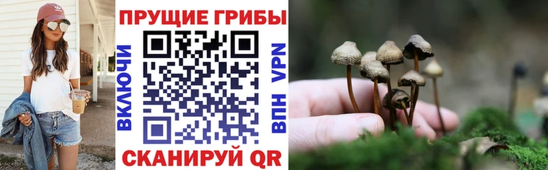 Галлюциногенные грибы Magic Shrooms Камышлов